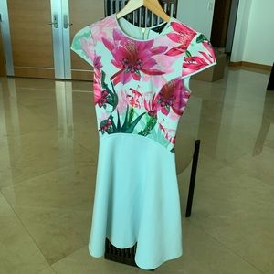 Ted Baker Dress